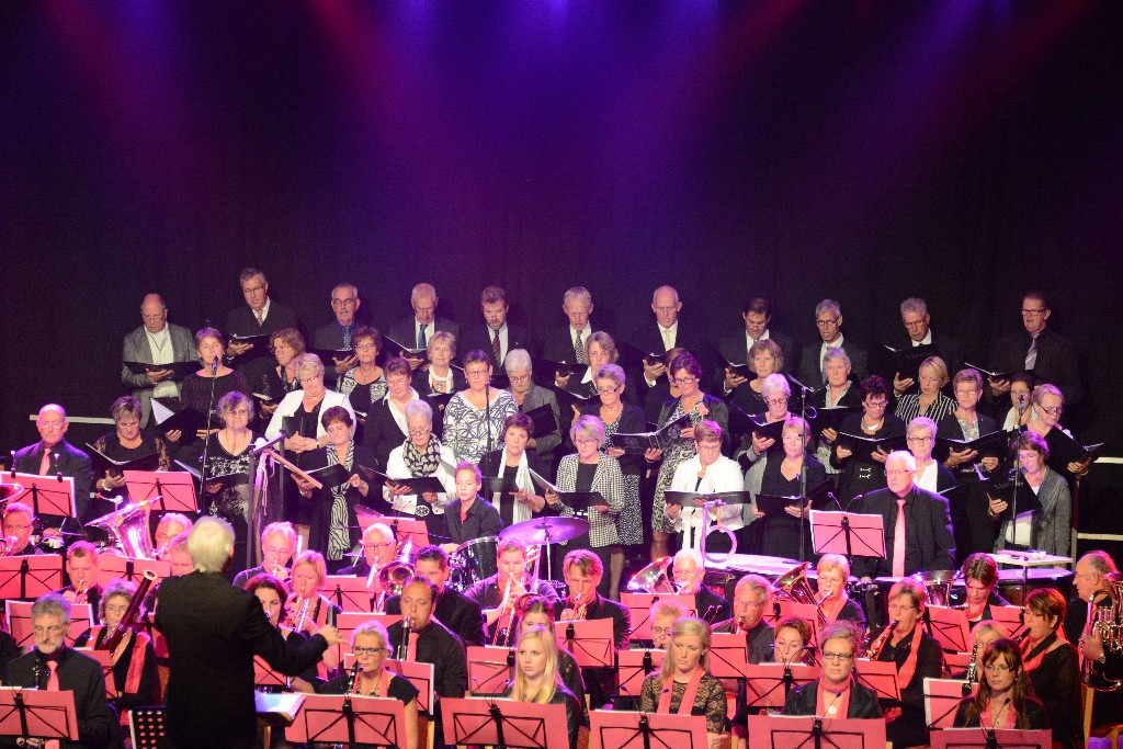 ../Images/Jubileumconcert 100 jaar Harpe Davids 105.jpg